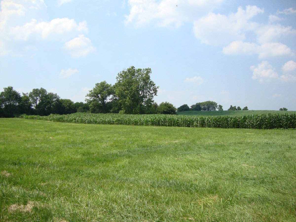 Property photo 29 - 160 Acres Offered in 6 Tracts